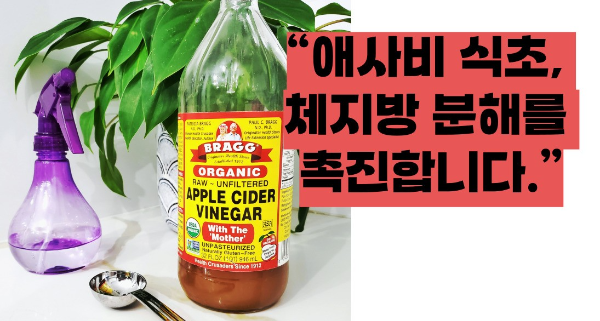 애사비 식초 효능