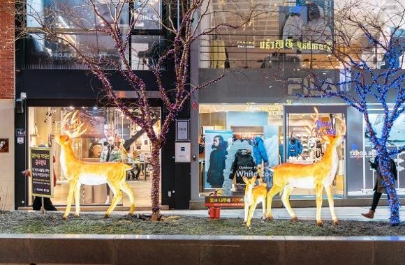 부산 광복로 겨울빛 트리축제