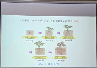 파종 도구 선택 파종기 호미 삽 흙손 사용 팁_22