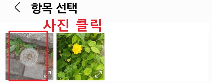사진 선택 클릭함