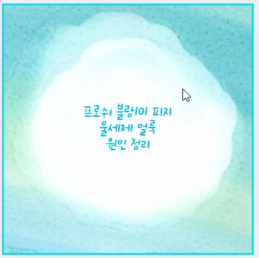 프로쉬 블랑101 피지 울세제 얼룩 원인 정리