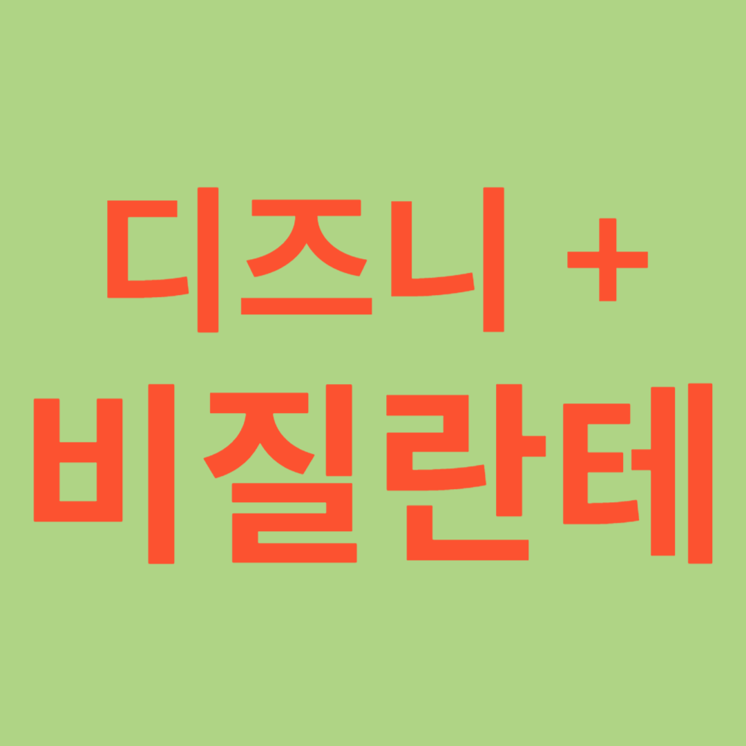 비질란테 드라마