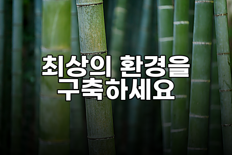 최상의 환경을 구축하세요