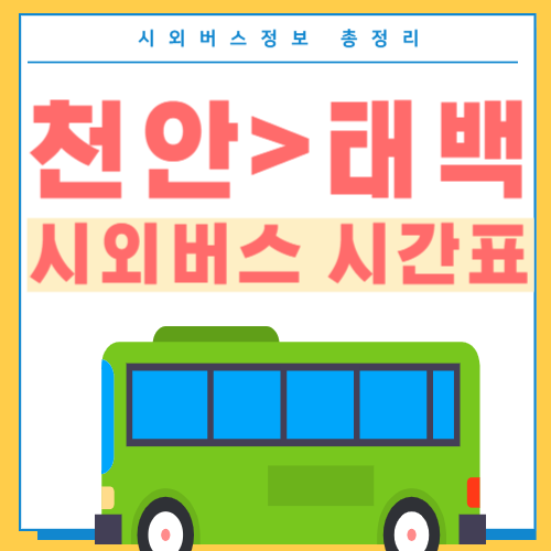 천안에서 태백 버스 시간표-썸네일