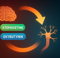 아토목세틴과 아록시부티닌을 조합