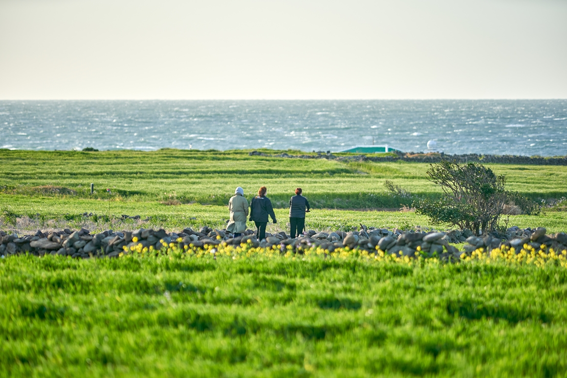 가파도 청보리축제 지도