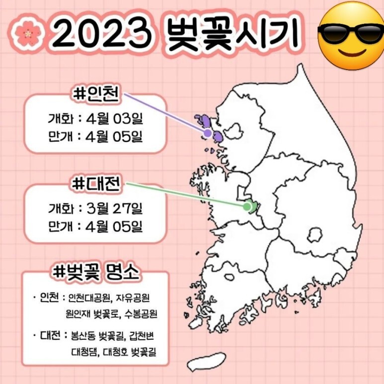 2023년 벚꽃 개화시기