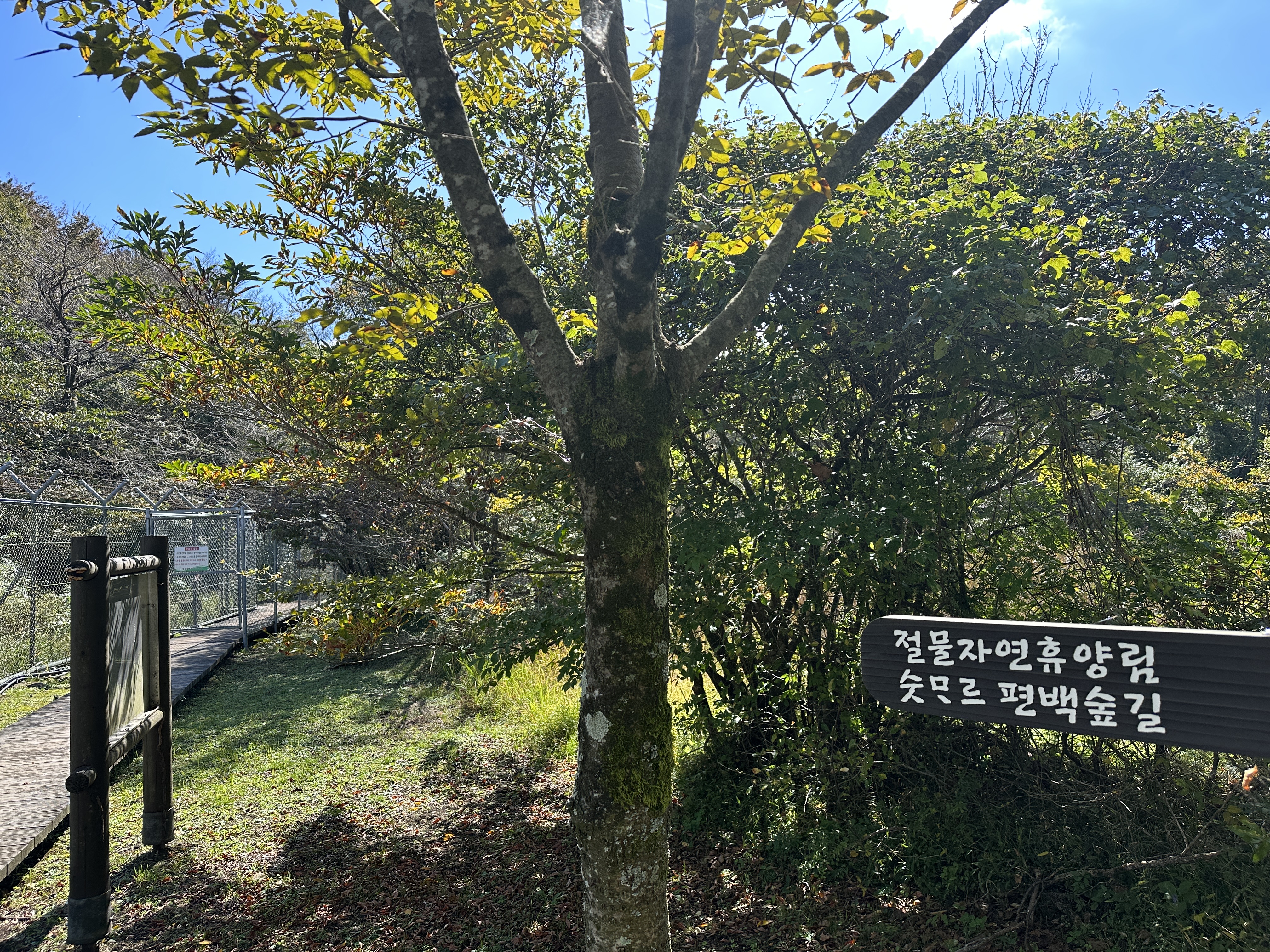 거친오름-산책로