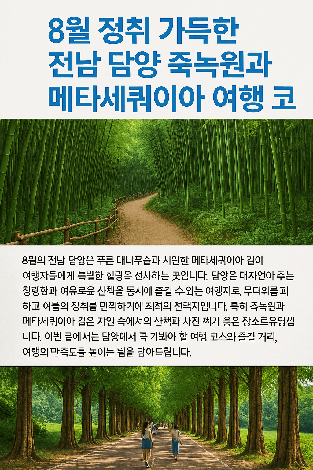 8월 정취 가득한 전남 담양 죽녹원과 메타세쿼이아 여행 코스