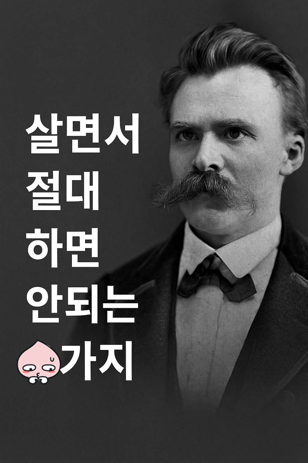 니체 이미지