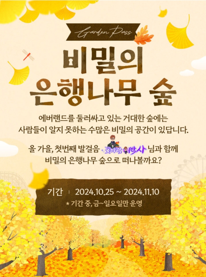 비밀의 은행나무 숲