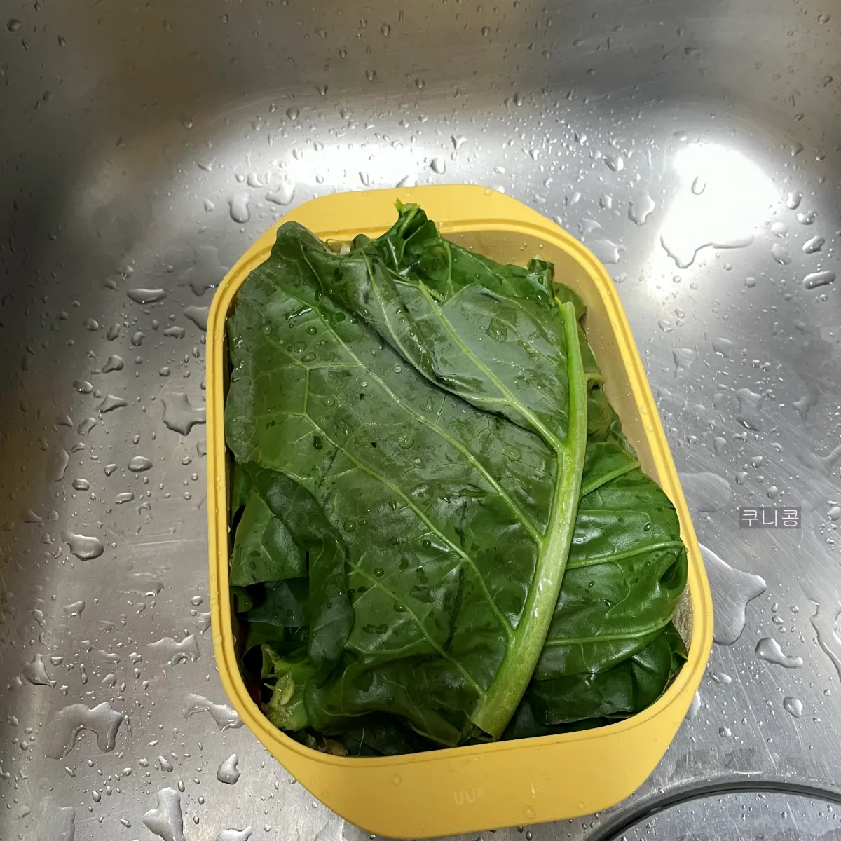 집에서-간단하게-전자레인지로-케일-찌는-방법,-실리만-찜기-사용후기