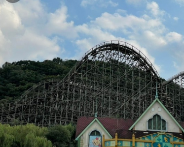 2024 에버랜드 은행나무숲산책 신청