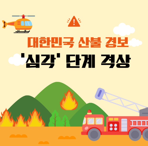 산불 관련 이미지