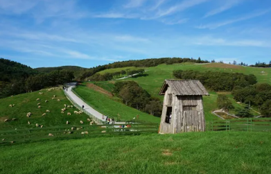 대환장 기안장2 신청방법