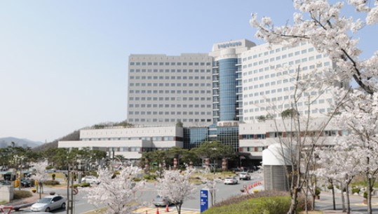 분당-서울-대학교-병원-본관-이미지