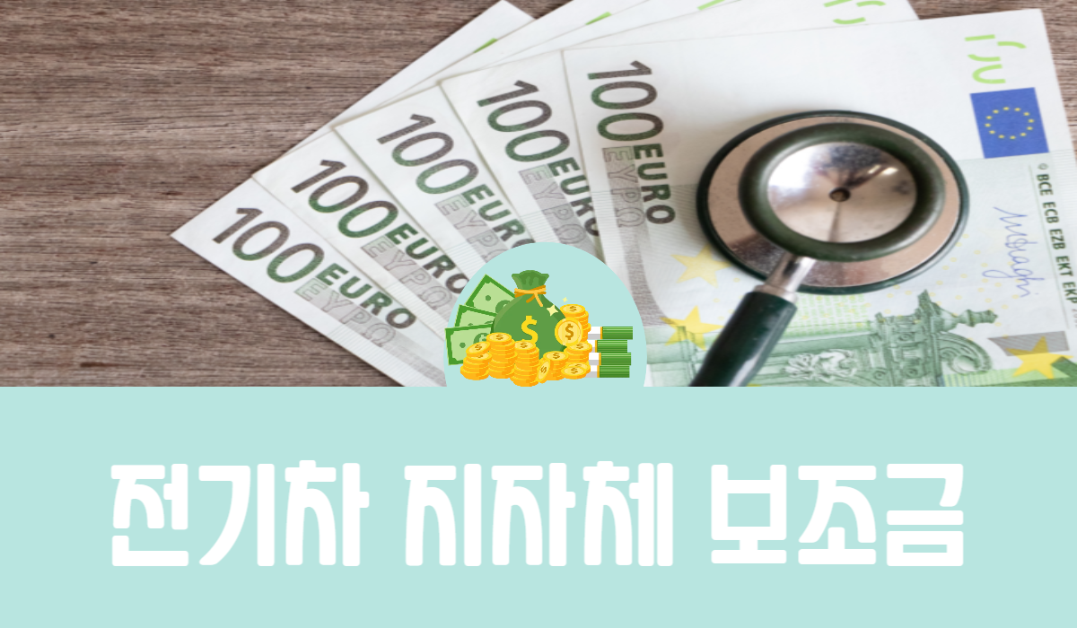 전기차 지자체 보조금