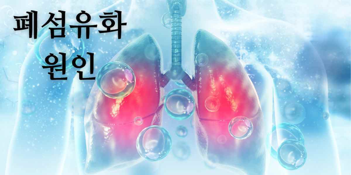폐섬유화