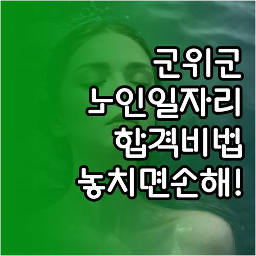 군위군 노인일자리 참여 조건 및 사회..