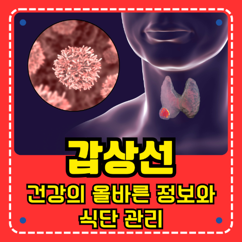 갑상선