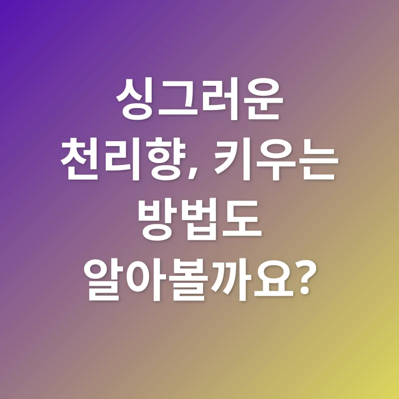 천리향 키우기_2