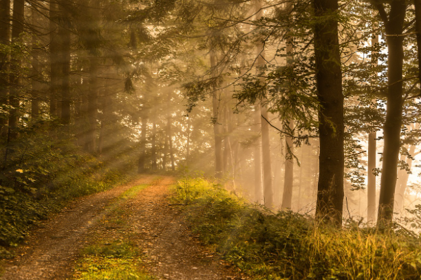 여름에 다시 보고싶은 로맨스 영화,