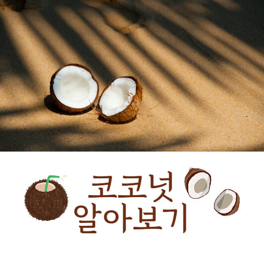 코코넛