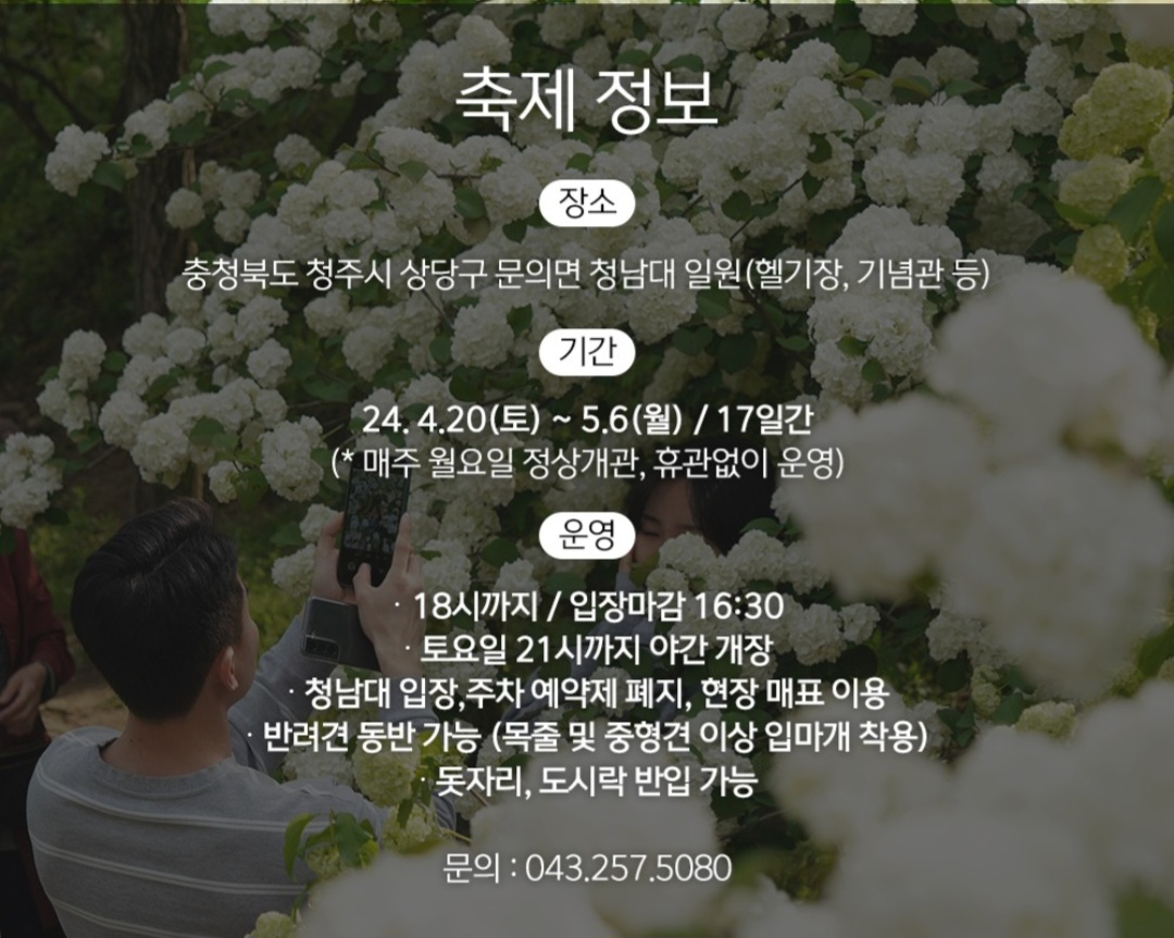 영춘제정보