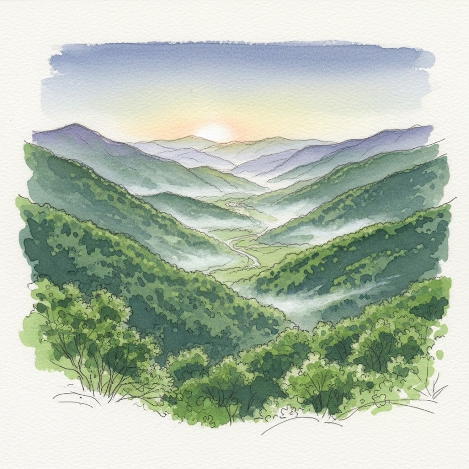 안개가 살짝 낀 횡성의 평화로운 산세 전경