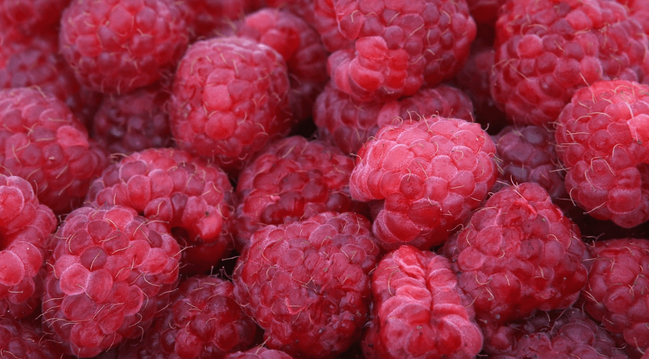 산딸기 사진 - 2