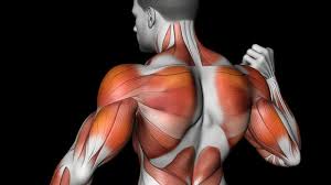 근육량 늘리는 방법