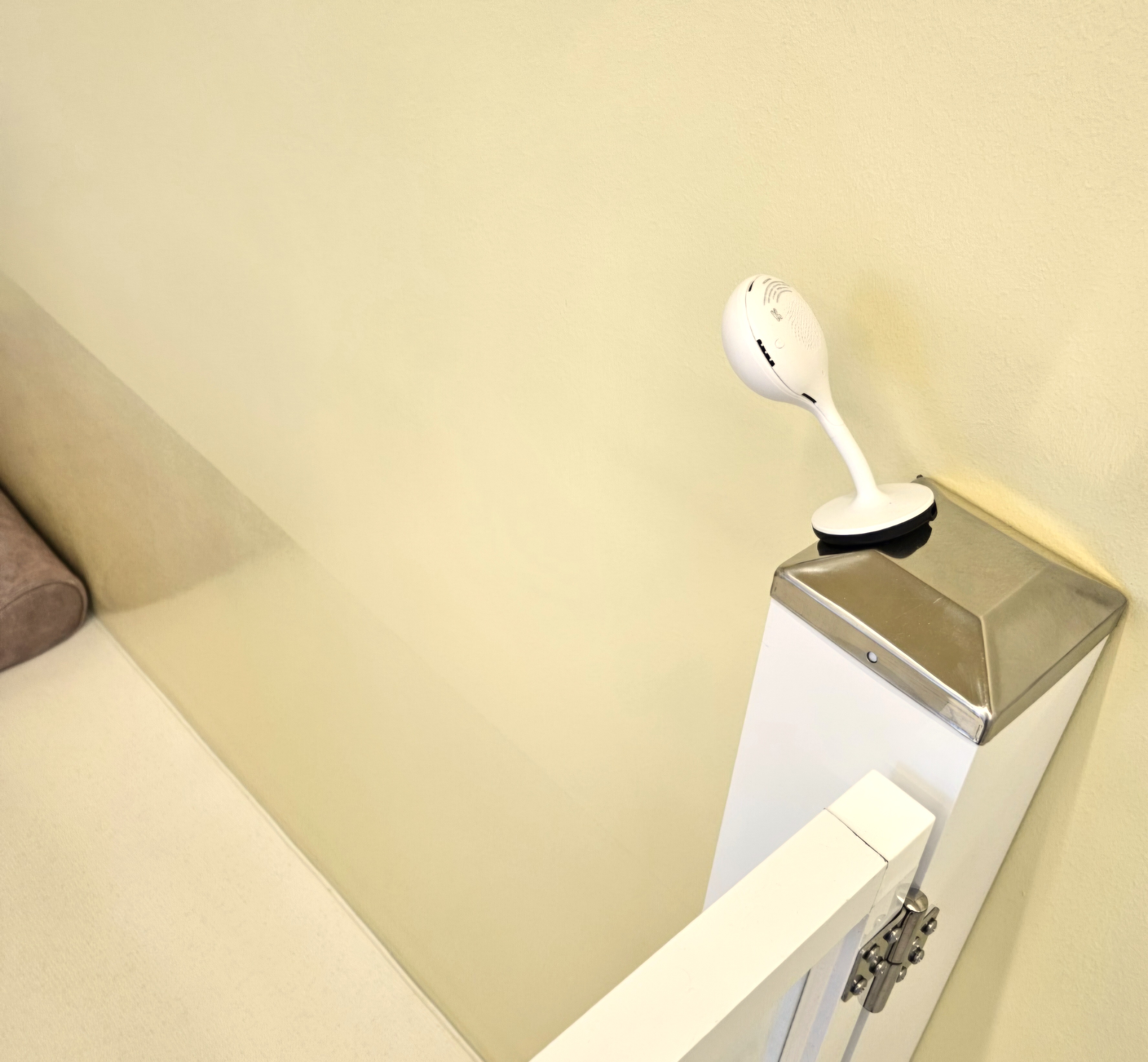 김포 사우동 애견미용 애견호텔