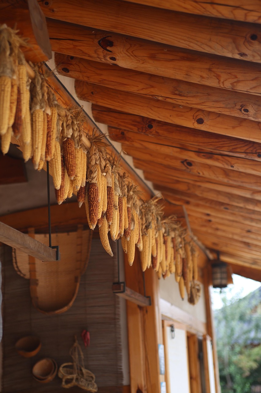 전주 한옥마을 체험관련 이미지