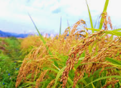 경상남도 여성농업인 바우처카드