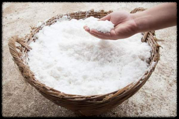 소금, 인류 역사의 최강 만능템 – 몰랐던 활용법 총정리
