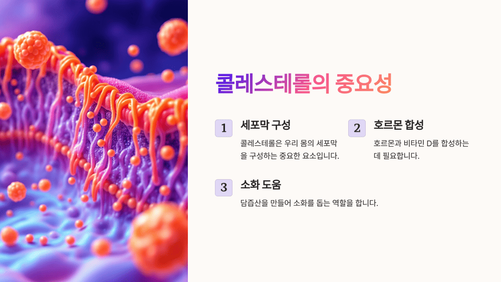 콜레스테롤, 도대체 왜 알아야 할까?