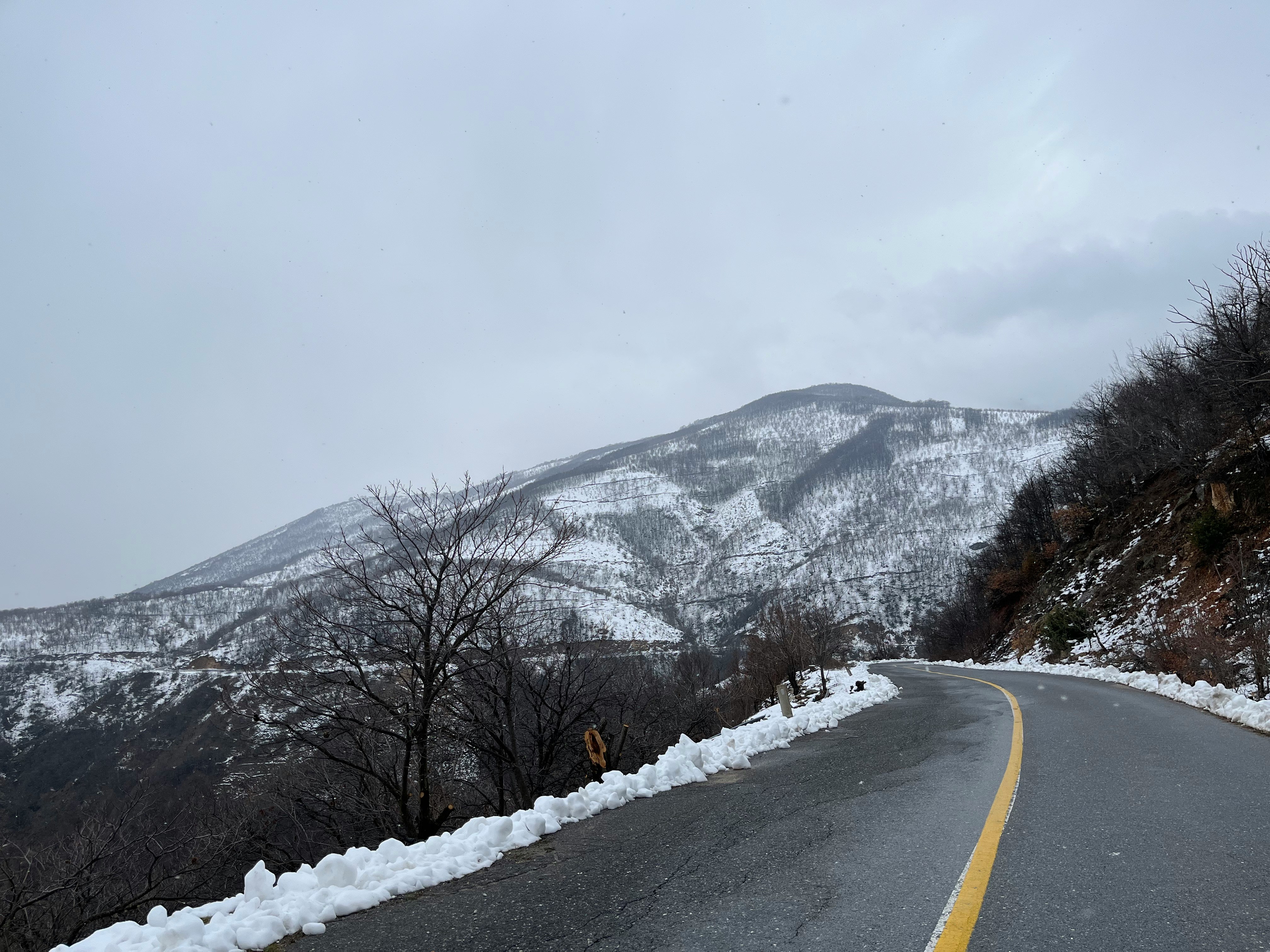 눈 덮인 강원도 산과 길 풍경 관련 사진