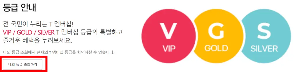 T멤버십-등급(VIP,GOLD,SILVER)