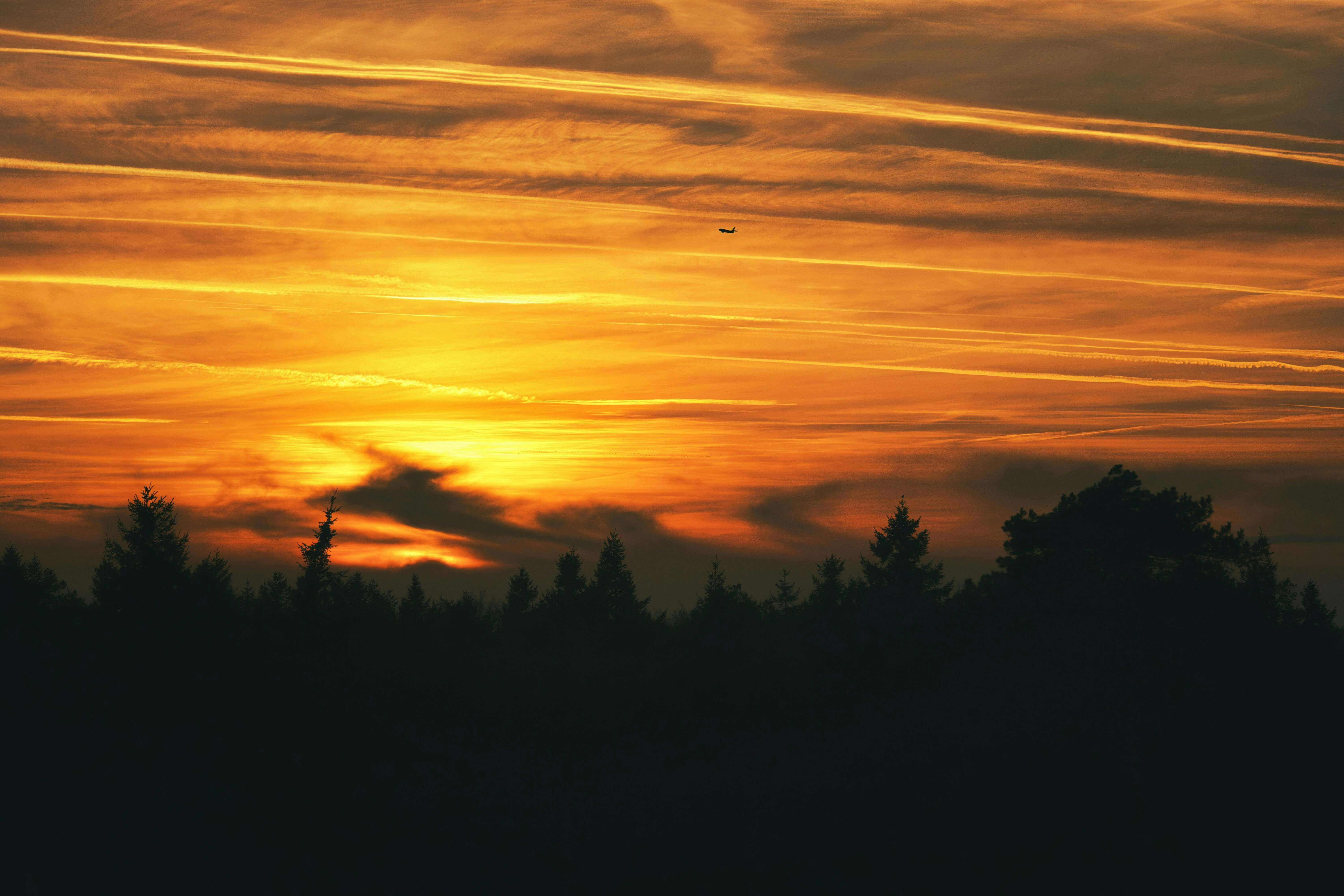 2026년 해돋이 명소 추천