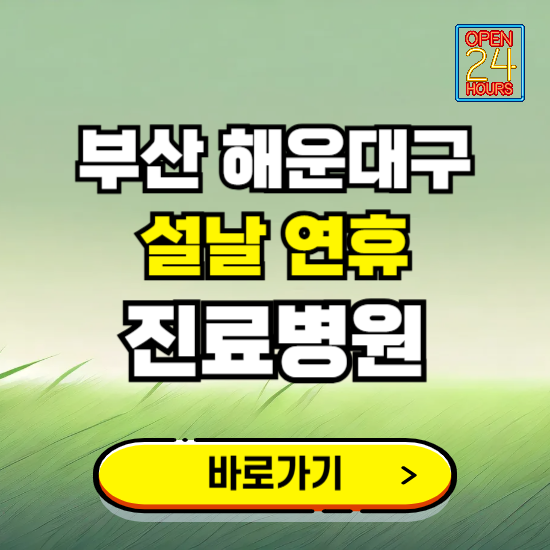 부산 해운대구 설날 연휴 진료병원 찾기 ❘ 24시 응급 야간 심야 문여는 병원