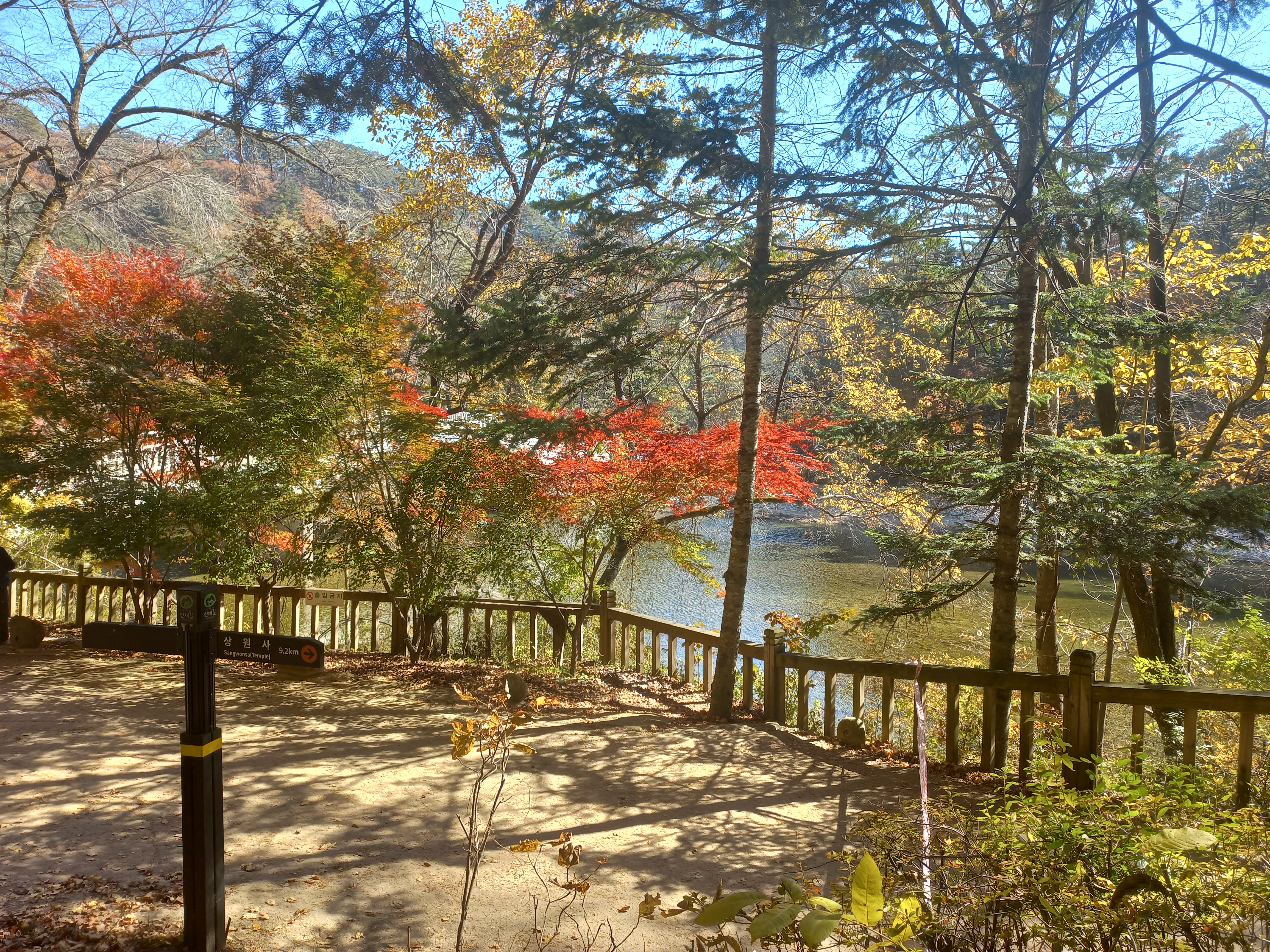 오대산전나무숲길입구