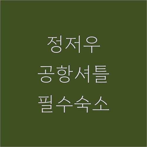 중국 정저우 여행 필수 체크 공항 셔..