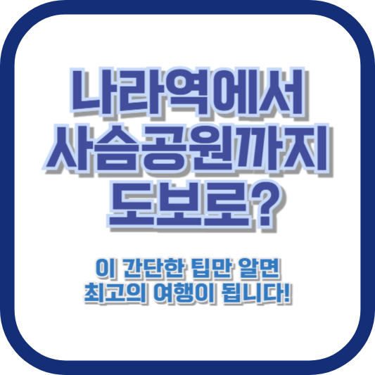 나라역에서 사슴공원까지 도보로? 이 간단한 팁만 알면 최고의 여행이 됩니다!