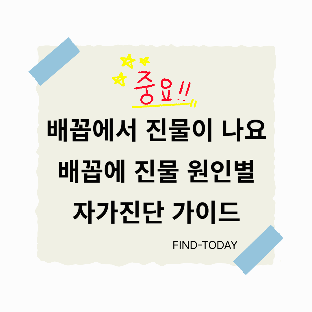 배꼽에서 진물이 나요, 배꼽에 진물 원인별 자가진단 가이드