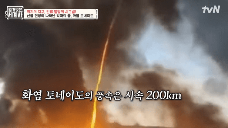 지구온난화_호주산불