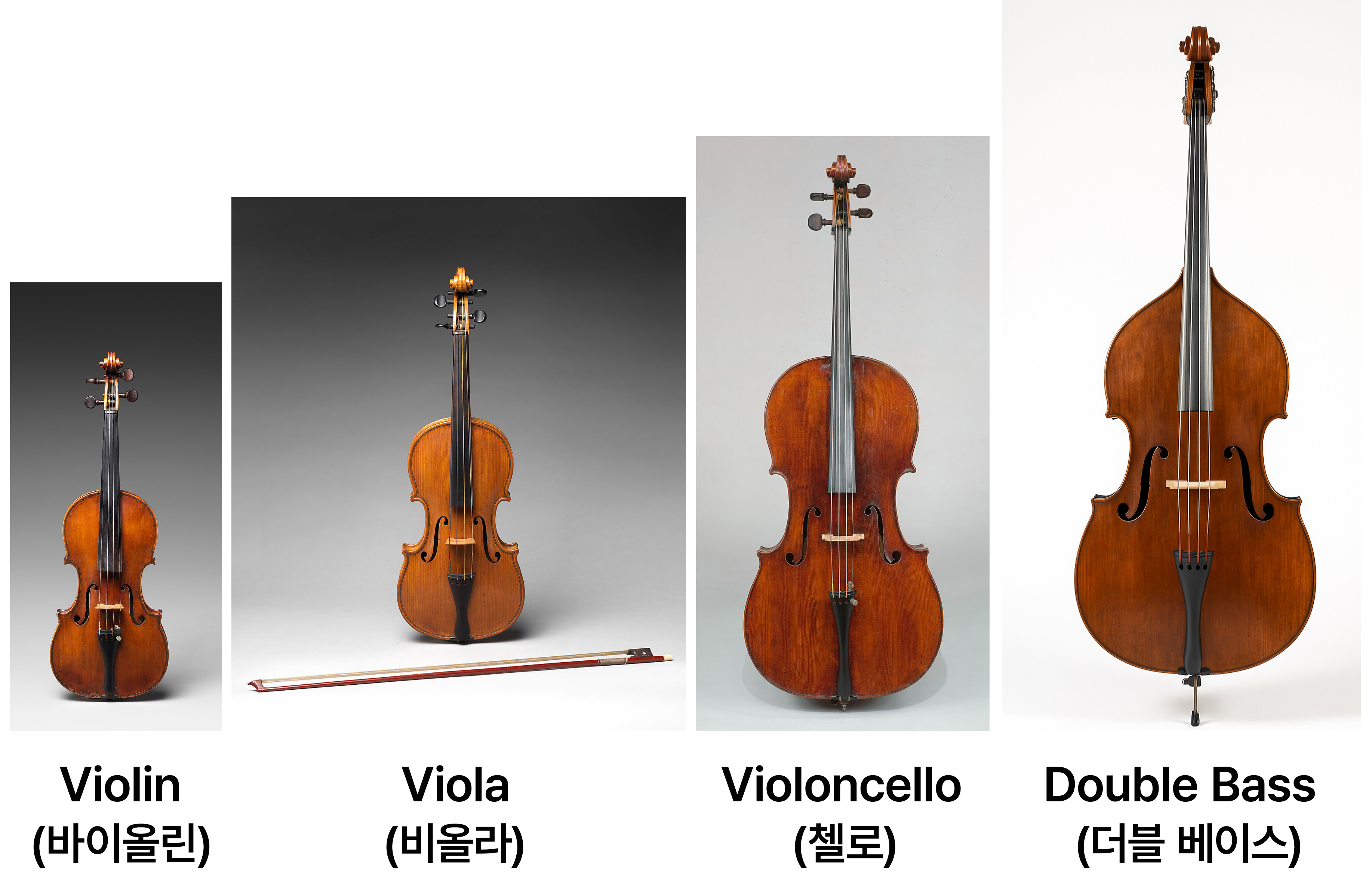 후기 낭만주의 시대의 현악기군 - 바이올린(Violin), 비올라,(Viola) 첼로(Violoncello), 더블 베이스(Double Bass)