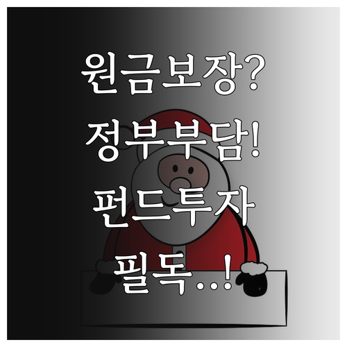 국민성장펀드 투자 리스크 관리법과 정..