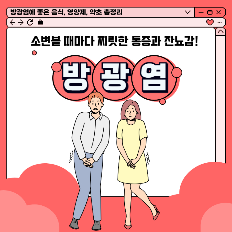 방광염에 좋은 음식 영양제 약초 총정리