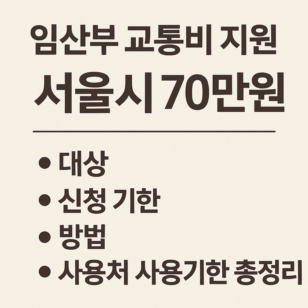 임산부 교통비 지원 서울시 70만원 대상 신청 기한 방법 사용처 사용기한 총정리