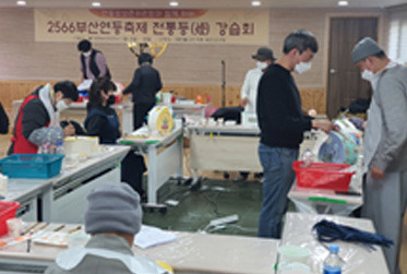 2025 부산연등회 총정리 부처님오신날 감성 가득한 연등의 바다